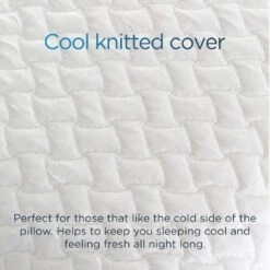 Snuggledown Bliss Cool Touch Memory Foam Firm Pillow -Home Products Store 2253518 R Z005A