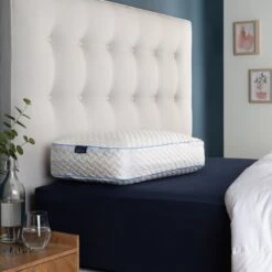 Snuggledown Bliss Cool Touch Memory Foam Firm Pillow -Home Products Store 2253518 R Z009A