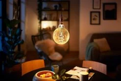 Philips LED Filament E27 6.5W (40W) Dim Giant Bulb + Cord 9 Philips LED Filament E27 6.5W (40W) Dim Giant Bulb + Cord -Home Products Store 8957935 R Z004A