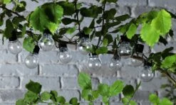 Habitat 20 Warm White Festoon Solar Lights -Home Products Store 9133916 R Z006A