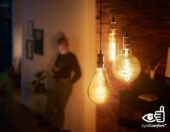 Philips LED Filament E27 6.5W (40W) Dim Giant Bulb - Gold 7 Philips LED Filament E27 6.5W (40W) Dim Giant Bulb - Gold -Home Products Store 9193798 R Z004A